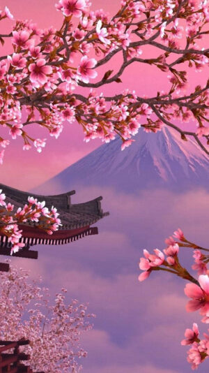 Cherry Blossom Background