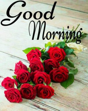 Good Morning Wallpaper