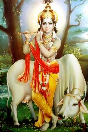 HD Krishna Wallpaper 