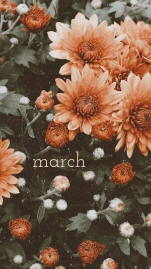 4K March Wallpaper