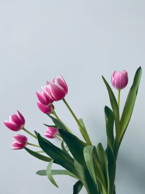 Spring Wallpaper