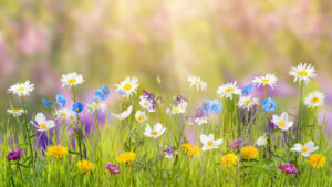 Desktop Spring Wallpaper