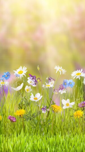 HD Spring Wallpaper