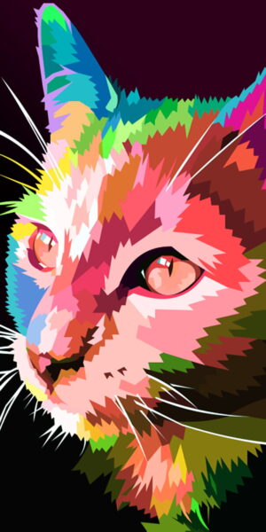 Cat Wallpaper
