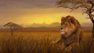 Desktop Lion Wallpaper