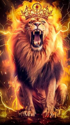 Lion Wallpaper