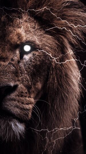 Lion Wallpaper