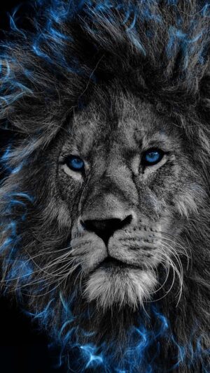 Lion Background