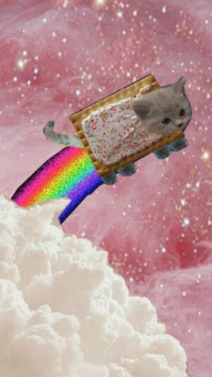 Nyan Cat Wallpaper