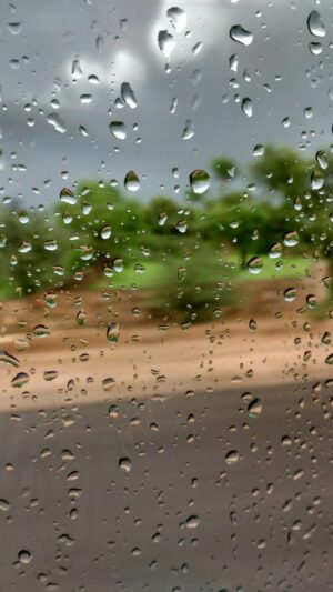 Rain Wallpaper