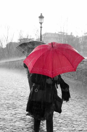 Rain Wallpaper