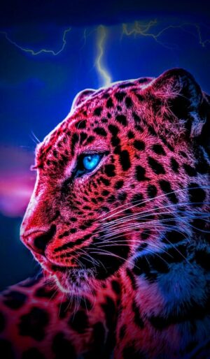 Cheetah Background