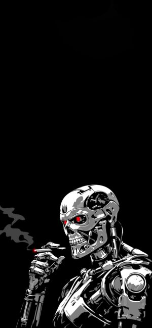 HD Terminator Wallpaper 