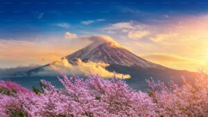 Desktop Cherry Blossom Wallpaper