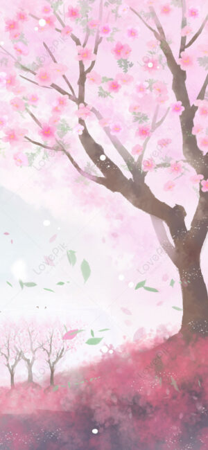 Cherry Blossom Wallpaper