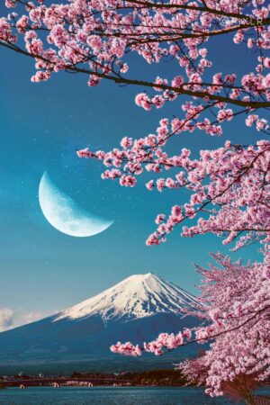 4K Cherry Blossom Wallpaper
