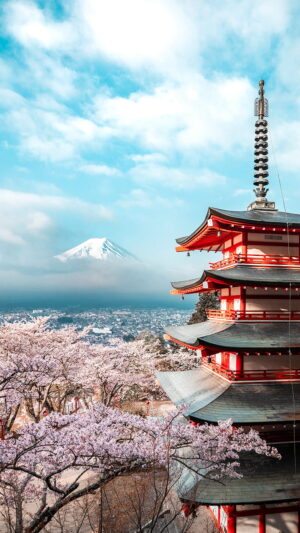 4K Cherry Blossom Wallpaper