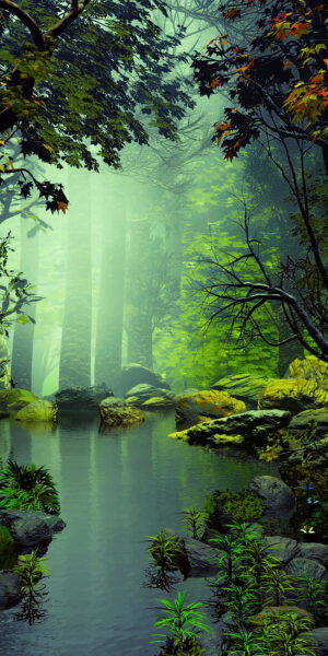 4K Forest Wallpaper