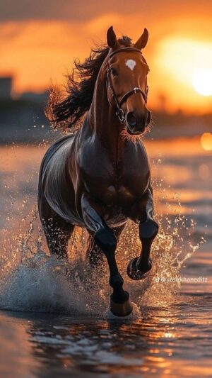 4K Horse Wallpaper 