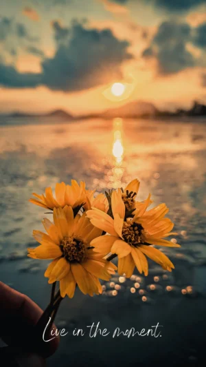 Sunset Wallpaper