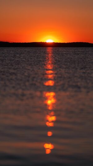 Sunset Wallpaper