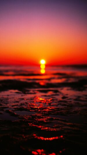 HD Sunset Wallpaper 