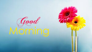 Desktop Good Morning Wallpaper