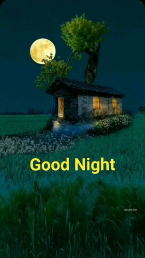 Good Night Wallpaper
