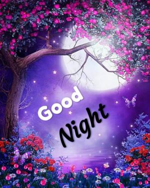 4K Good Night Wallpaper