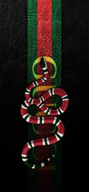 HD Gucci Wallpaper 