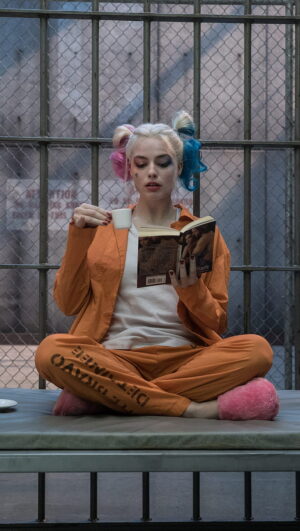 Harley Quinn Background
