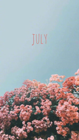July Background