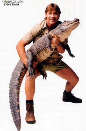 Steve Irwin Backgrond