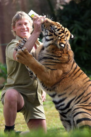 Steve Irwin Wallpaper