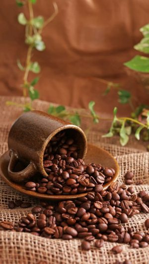Coffee Wallpaper