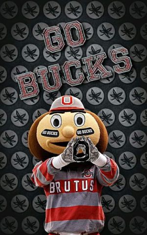 Brutus Buckeye Wallpaper Brutus Buckeye Wallpaper