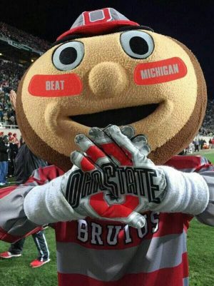 Brutus Buckeye Wallpaper