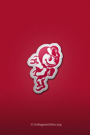 Brutus Buckeye Background