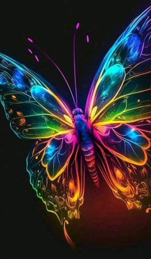 Butterfly Wallpaper