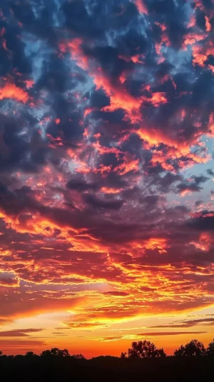Sunset Background