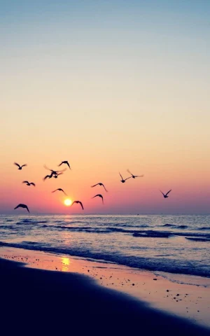 Sunset Wallpaper