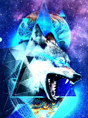 HD Wolf Wallpaper