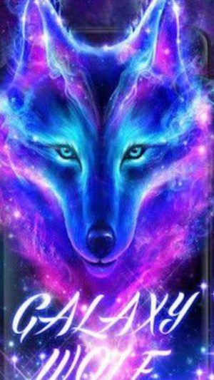 Wolf Wallpaper