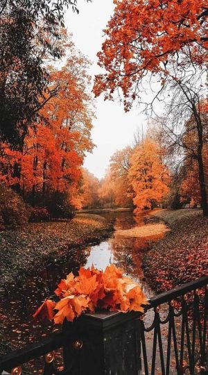 4K Autumn Wallpaper