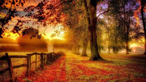 Desktop Autumn Wallpaper