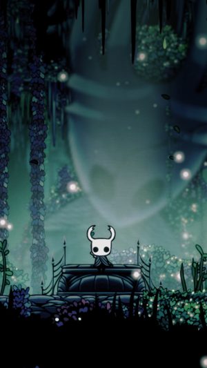 HD Hollow Knight Wallpaper 