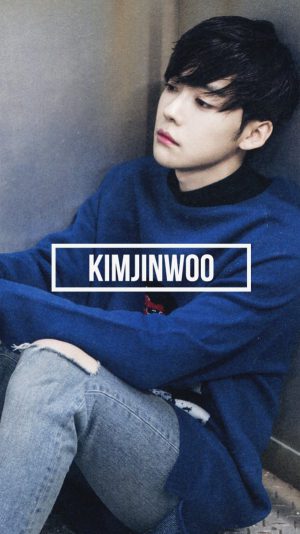Kim Jin-Woo Background