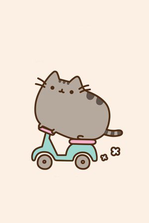 Pusheen Background