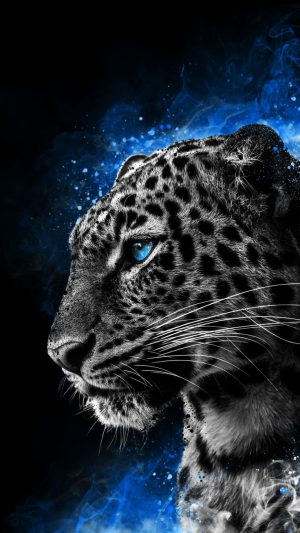 Cheetah Background Cheetah Background