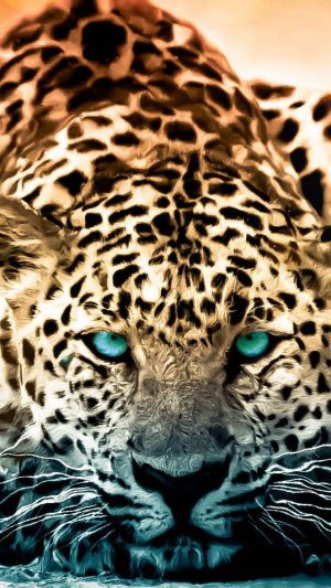 Cheetah Background Cheetah Background
